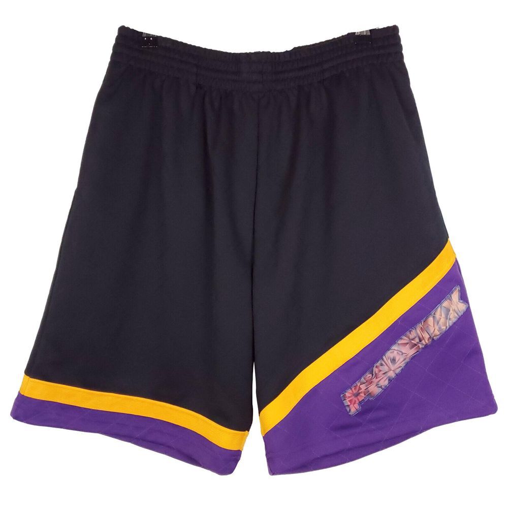 Phoenix Suns Mitchell & Ness NBA L Large Jersey Shorts 75th Lenticular Logo NWT